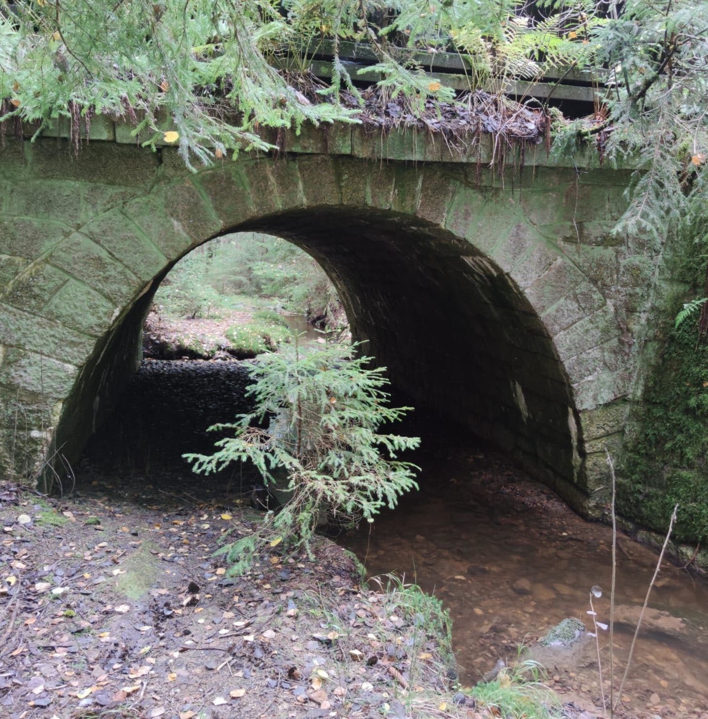 Eine steinerne Brücke über einem Bach