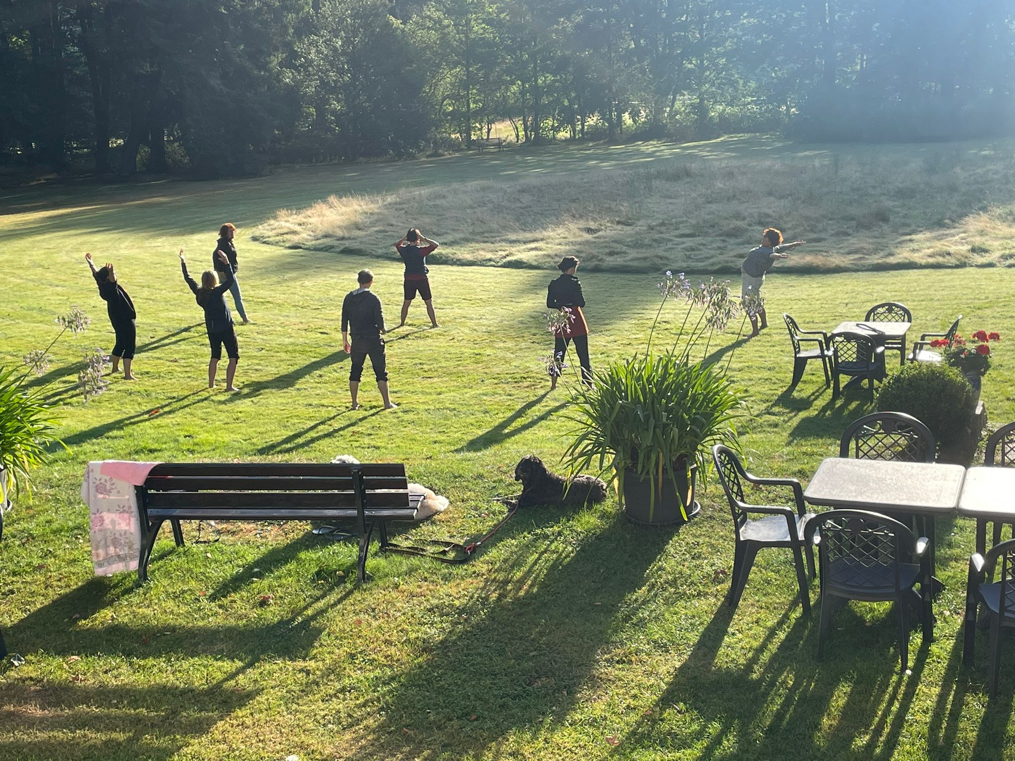 Frühsport in der Gruppe in der freien Natur