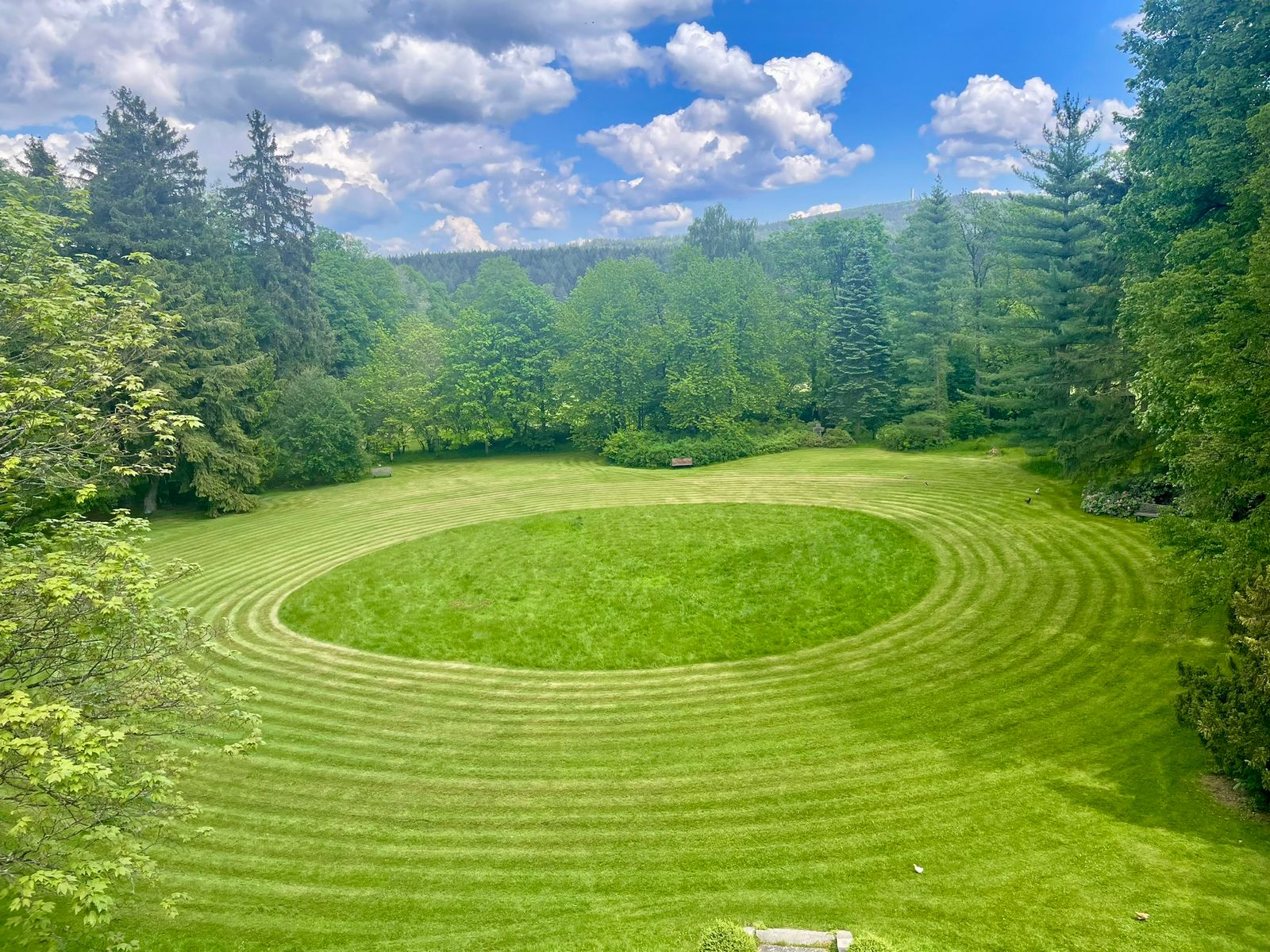 Landschaftsaufnahme einer grünen Wiese
