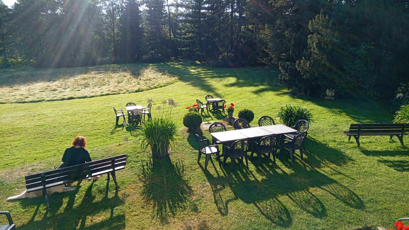 Ein grüner Garten mit Bänken