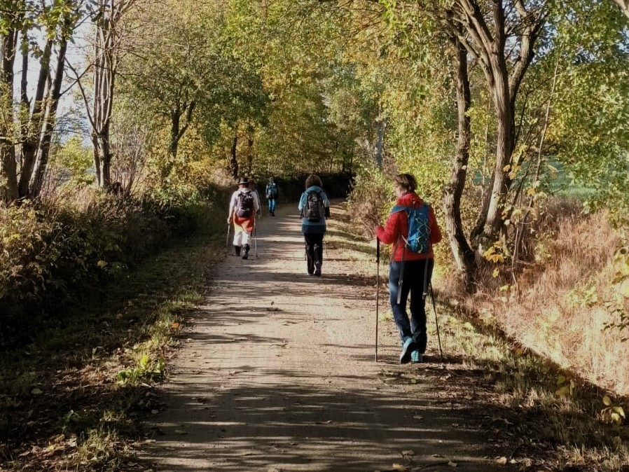 Wandernde Personen in der Natur